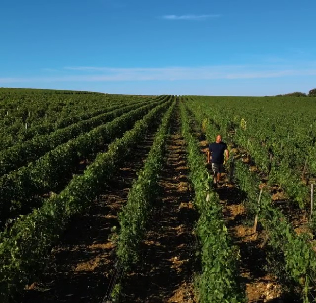 visite et dégustations de vins à Tracy-sur-Loire près de Pouilly-sur-Loire dans la Nièvre 58