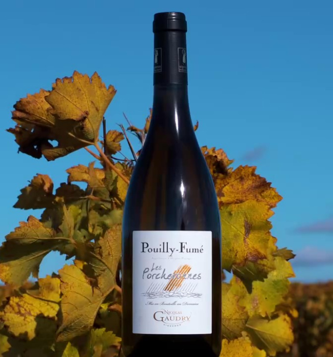 vins pouilly fumée à Tracy-sur-Loire près de Pouilly-sur-Loire dans la Nièvre 58