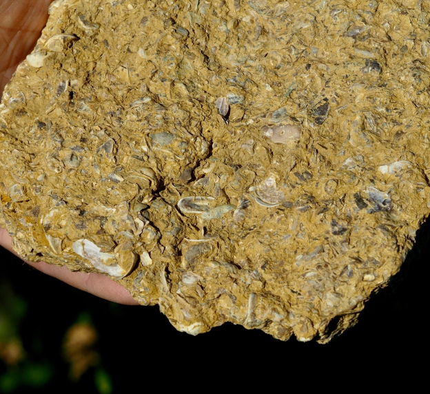 comaine viticole à Tracy-sur-Loire près de Pouilly-sur-Loire dans la Nièvre 58