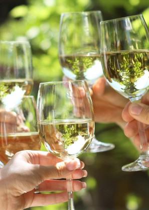 producteur de Pouilly à Tracy-sur-Loire près de Pouilly-sur-Loire dans la Nièvre 58